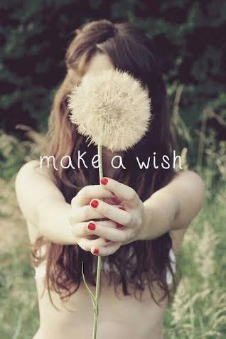 make-wish-blacksheep.rs
