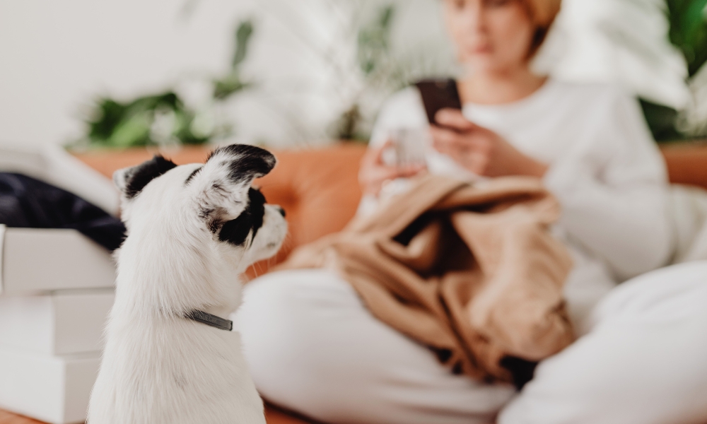 Digitalni svet i mentalna disciplina